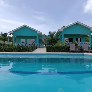  Lodge Blue Lizard House