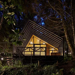 Oculto Refugio De Bosque , Envigado Colombia